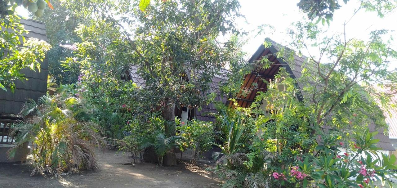 Hello Lumbung Homestay Gili Air Eksteriør bilde